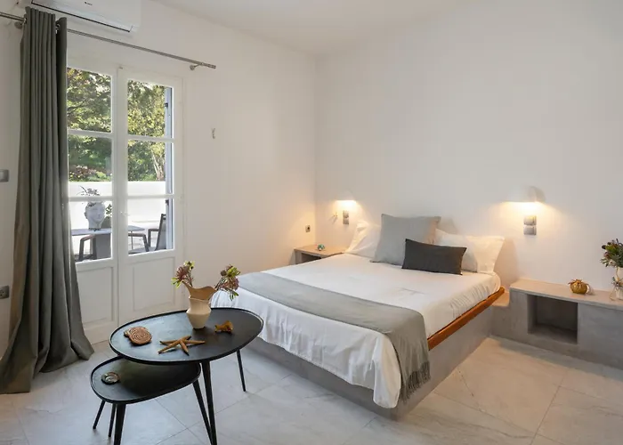 Irini's Poiema Апартаменты Lefkes (Paros)