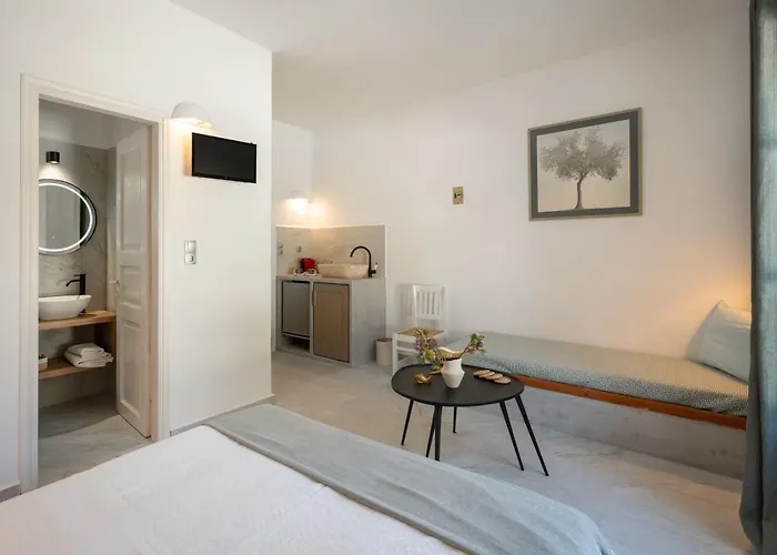 Irini's Poiema Lefkes (Paros)