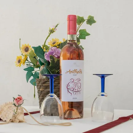 Apartament Irini's Poiema *